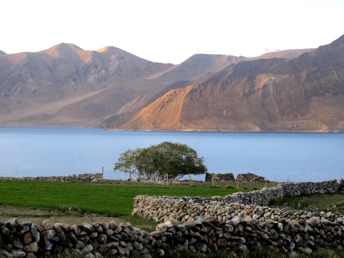 Pangong Delight Camps And Cottages Spangmik Buitenkant foto