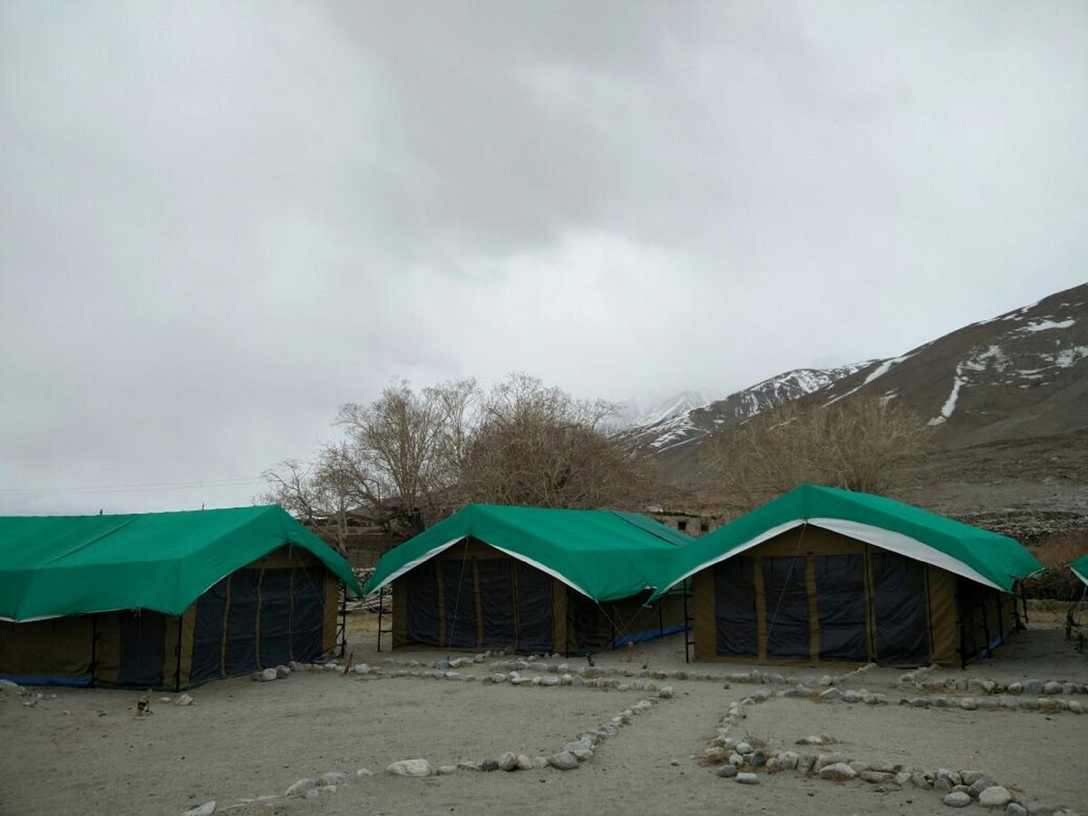 Pangong Delight Camps And Cottages Spangmik Buitenkant foto